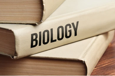Biology - CUET Subject Course